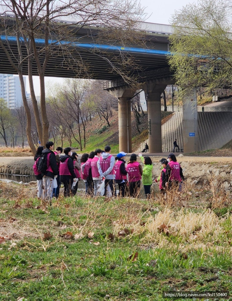 세계 물의 날 양재천 줍깅 세계 물의 날 양재천 줍깅