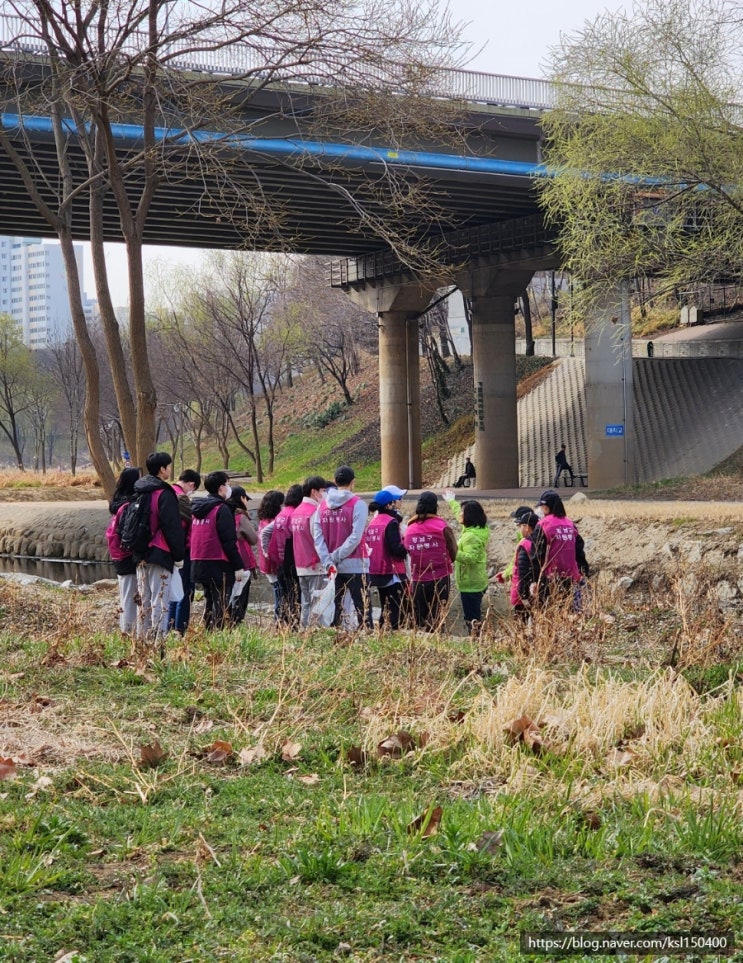 세계 물의 날 양재천 줍깅