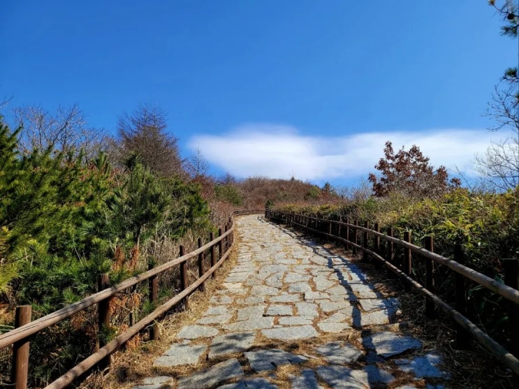 지리산 바래봉  등산