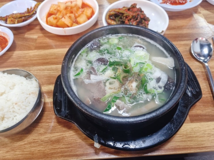  신곡동 맛집 버드나무순대국 구수한게 의정부 순대국집