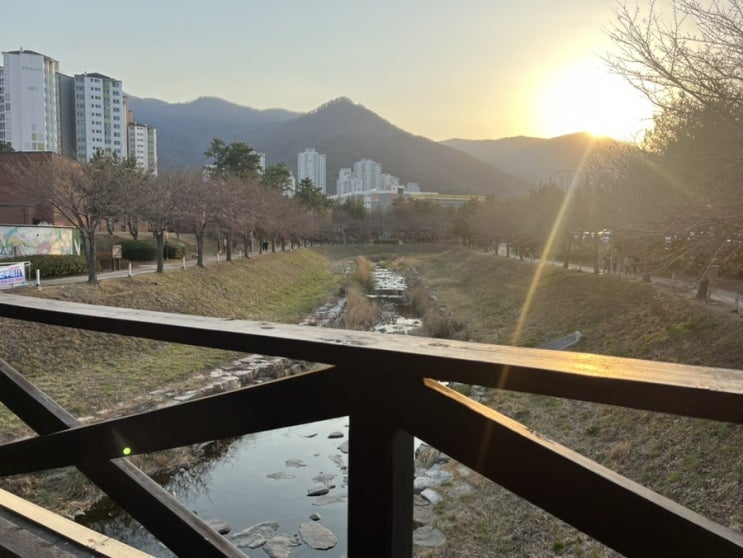  경남 여행 김해 벚꽃명소 율하천 나들이  with.파더스 베이글