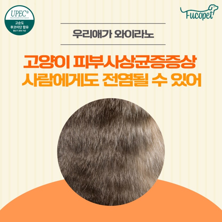  57th. 고양이 피부사상균 증상 사람에게도 전염될 수 있어요