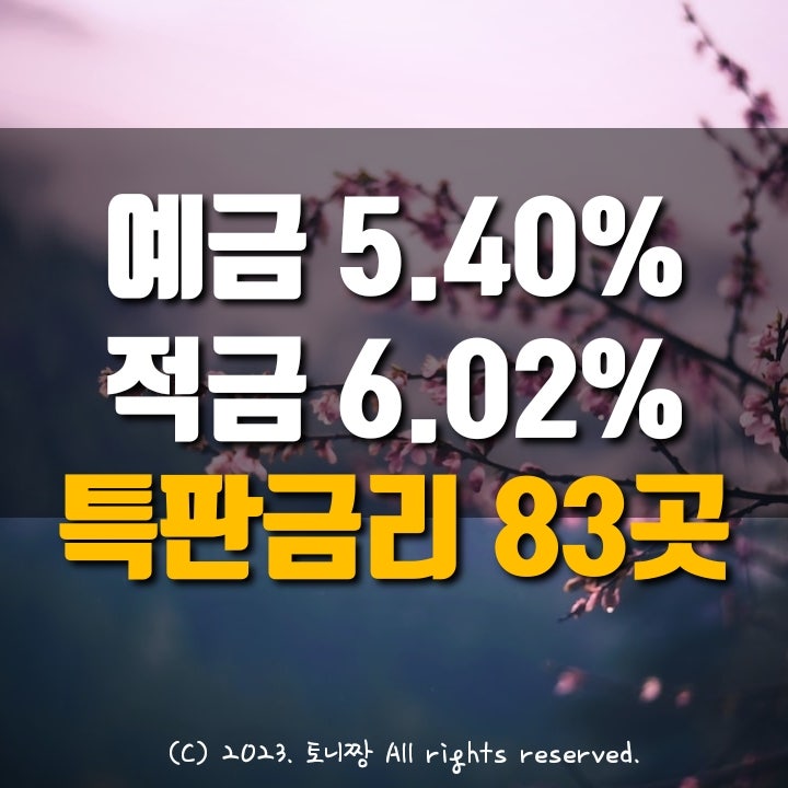 오늘의 예금특판 5.4%, 적금특판 6.02% 성수1가 서귀포동부 예산 화양동 새마을금고