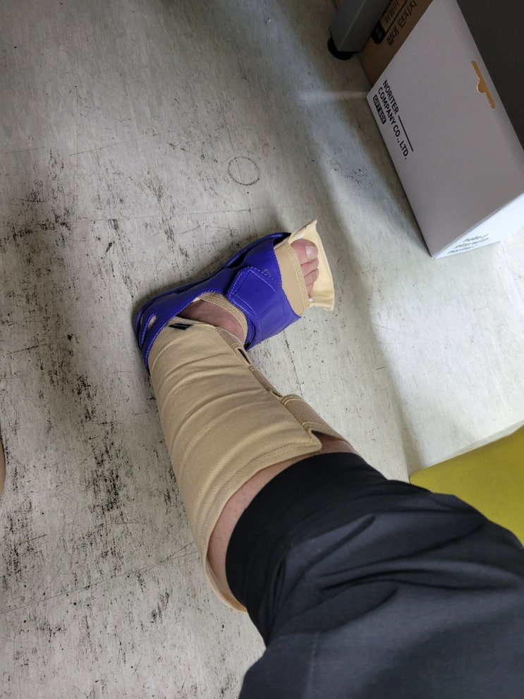 이런 덴장 이런 덴장