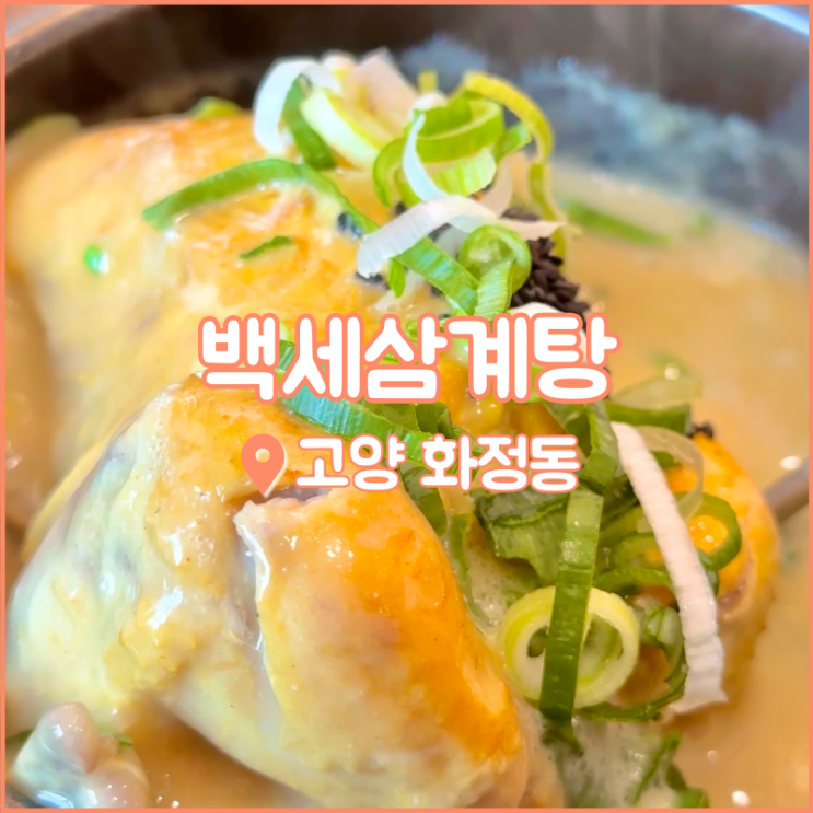 화정맛집, 고양 삼계탕은 상황버섯이 들어간 금빛 백세삼계탕
