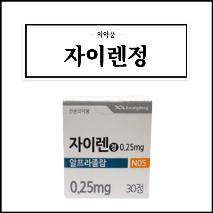  자이렌정, 효능효과/복용법/부작용/주의사항 등 간단정리
