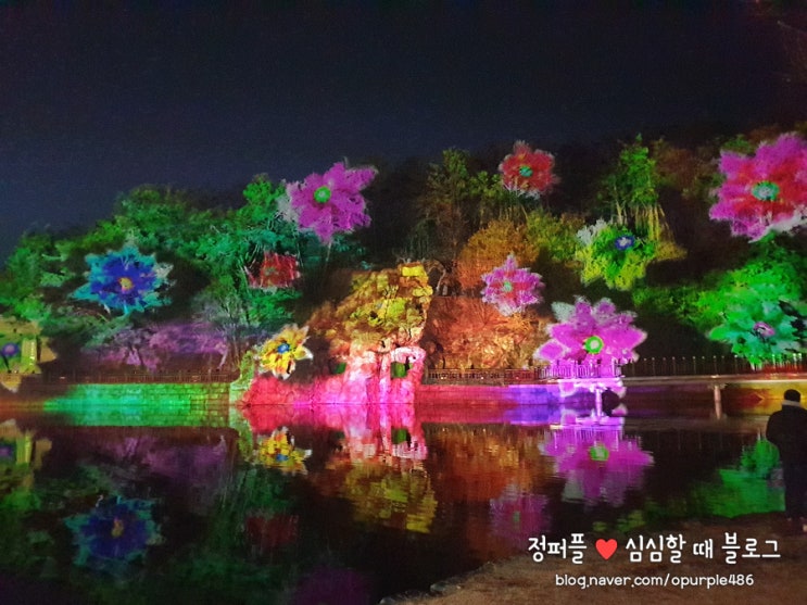 충북 제천 여행 의림지 용추폭포 미디어파사드 야경