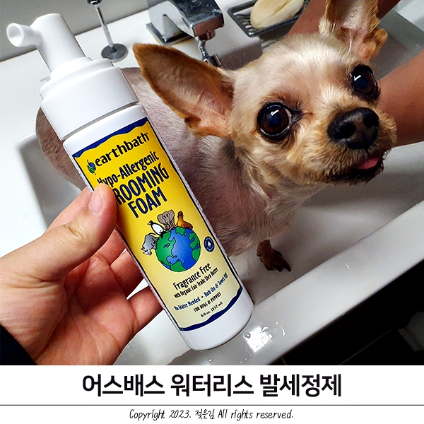 방이가 편한 워터리스 어스배스 발세정제 방이가 편한 워터리스 어스배스 발세정제