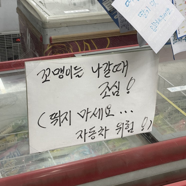  오들 #6. 백혈구 기강잡기
