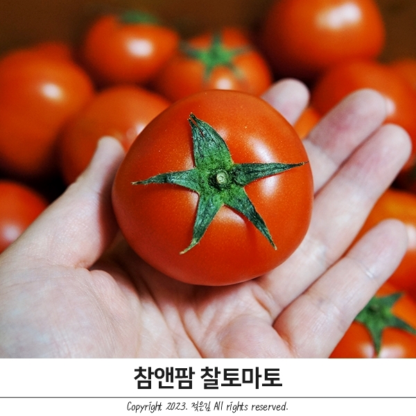 참앤팜 찰토마토로 똠얌꿍 만들기