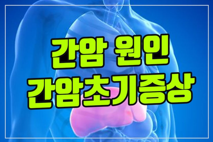  간암초기증상과 간암 진단 사례, 간암의 원인