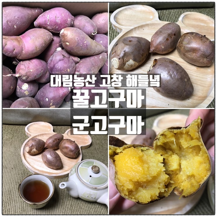대림농산 꿀고구마 고창 해들녘 유기농고구마 군고구마맛 리뷰 대림농산 꿀고구마 고창 해들녘 유기농고구마 군고구마맛 리뷰