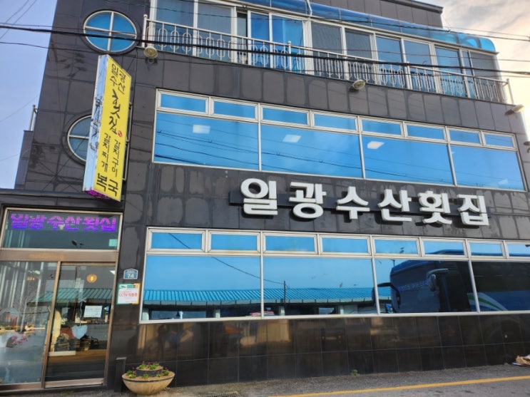  [부산/기장군] 자연산 회 코스 요리 맛집 일광수산횟집