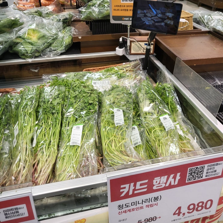  3월 밀양 홈플러스 장보기, 전단지 / 이마트 미나리 전단행사