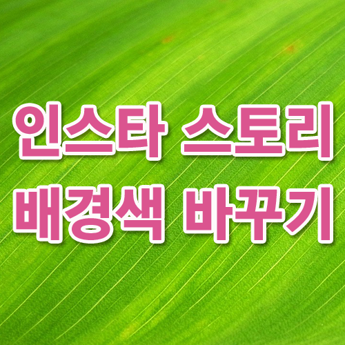 인스타 스토리 배경색 바꾸기, 지우개 효과 꾸미기 팁