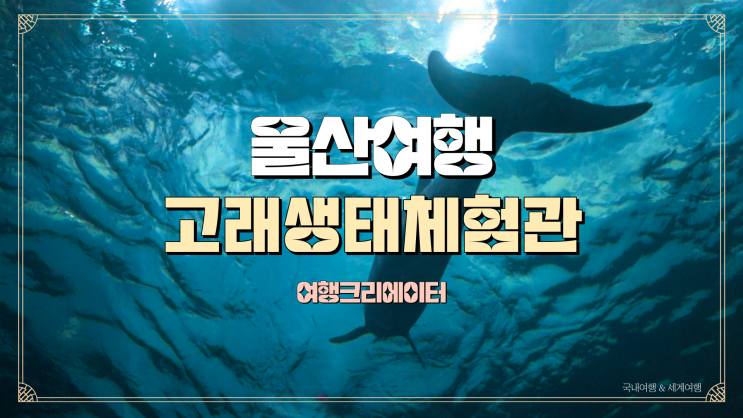  울산 남구 여행 고래생태체험관, 아이들과 함께 방문하기 좋은 관광지, 울산 여행, 주말 연인과 데이트 코스 추천, 부산 근교 여행지