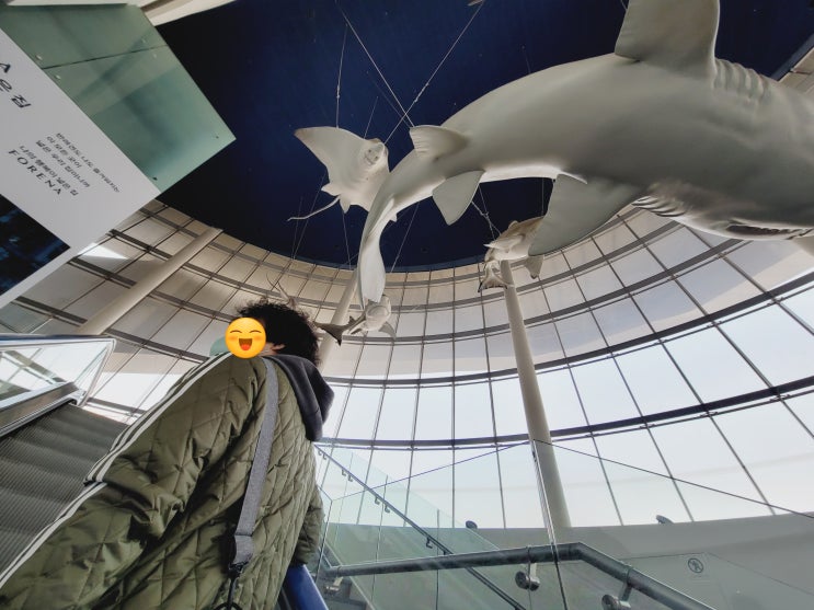  아쿠아플라넷 일산 방문후기