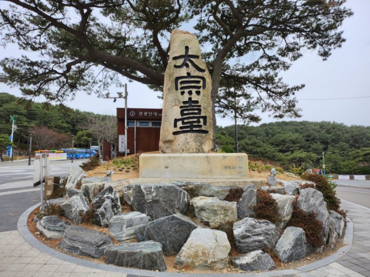  [부산/영도구] 태종대ㆍ전망대ㆍ다누비순환열차ㆍ영도등대