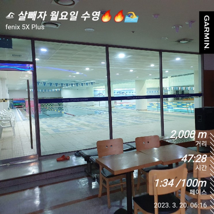  [수영일기] 3월 18일 20일 언제 가벼워질까?