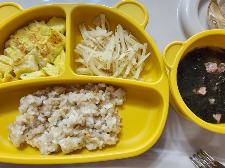  유아식 식단기록 (17개월 아기)