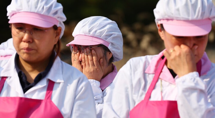 500건 밀렸는데도 한건씩 조사…‘급식실 폐암’처럼 반복될라 500건 밀렸는데도 한건씩 조사…‘급식실 폐암’처럼 반복될라
