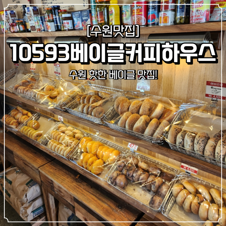  수원 베이글 맛집 10593베이글커피하우스