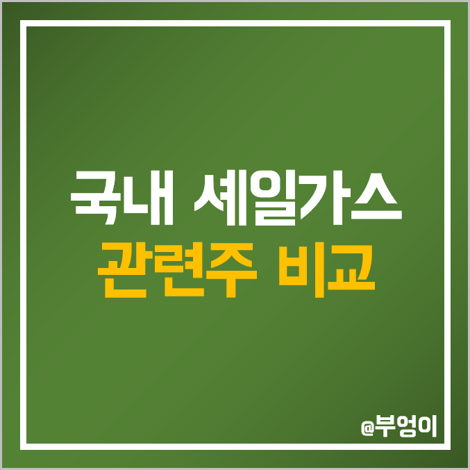국내 셰일 가스 관련주 비교 : 한국전력 비에이치아이 GS글로벌 E1 포스코인터내셔널 두산에너빌리티 한국카본 SK가스 한국가스공사 주식 주가 배당금 시가총액 PER PBR 순위 국내 셰일 가스 관련주 비교 : 한국전력 비에이치아이 GS글로벌 E1 포스코인터내셔널 두산에너빌리티 한국카본 SK가스 한국가스공사 주식 주가 배당금 시가총액 PER PBR 순위