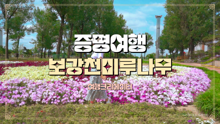  충북 증평 여행 가기 좋은 곳, 가족들과 함께 관광지 추천, 보강천 미루나무숲, 봄꽃, 봄나들이, 꽃 여행, 꽃구경, 미루나무, 당일치기 데이트