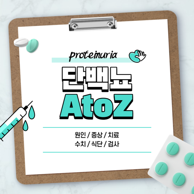  단백뇨 A to Z 【#원인 #증상 #치료 #수치 #식단 #의심 #검사 #거품】