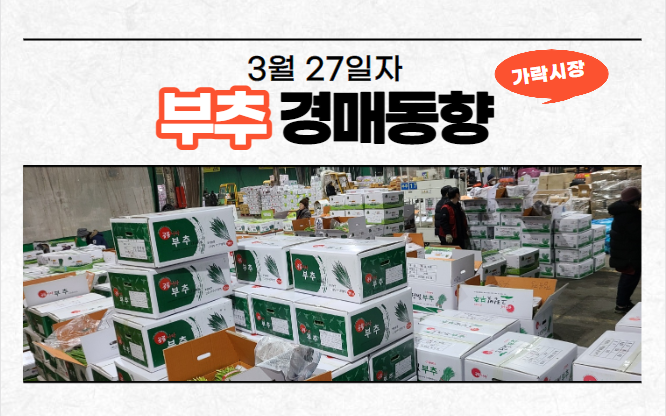  [경매사 일일보고] 3월 27일자 가락시장 부추 경매동향을 살펴보겠습니다!
