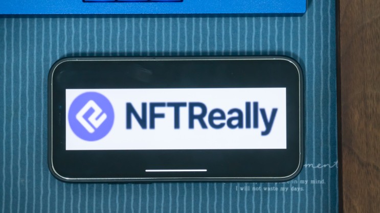 NFT 상태가 궁금하다면? NFT 분석&보안 검사는 필수! NFTReally