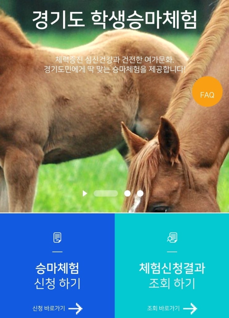  경기도 학생승마체험 신청!(ft. 지원대상, 지원내용 등)