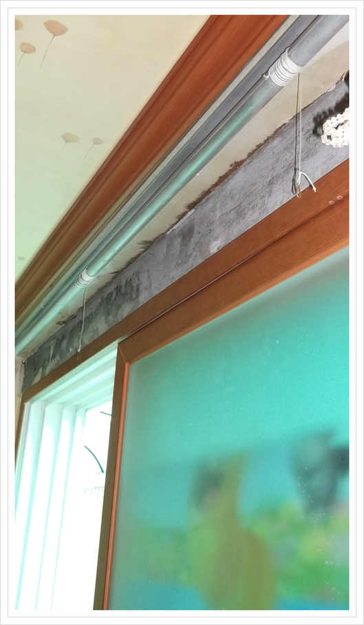 창문 커튼박스 코너 모서리 벽 곰팡이제거 해결!