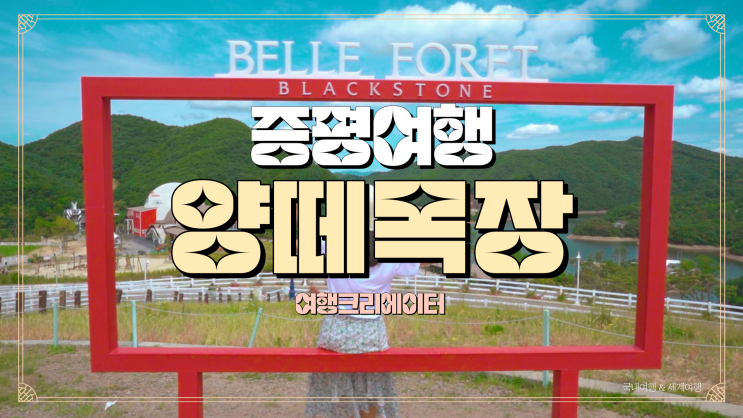  충북 증평 양떼목장 블랙스톤 벨포레목장, 주말 아이들과 함께 나들이 가기 좋은 곳, 경기도 인근 추천 관광지, 연인 데이트 추천코스