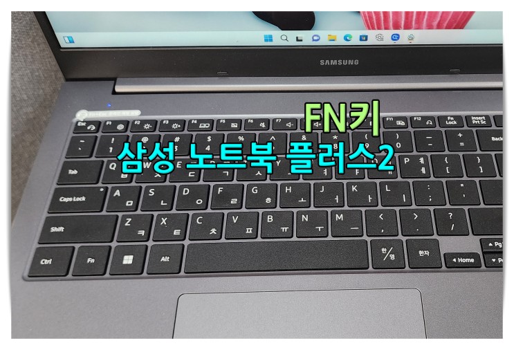 삼성 노트북 플러스2 NT550XDA-K24A Fn키 활용하기