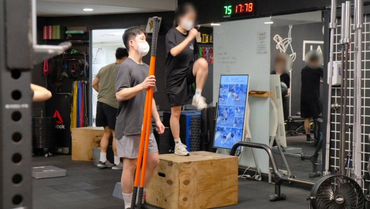  [여의도PT/VIKAL] 봄날에 운동을 좋아하세요?