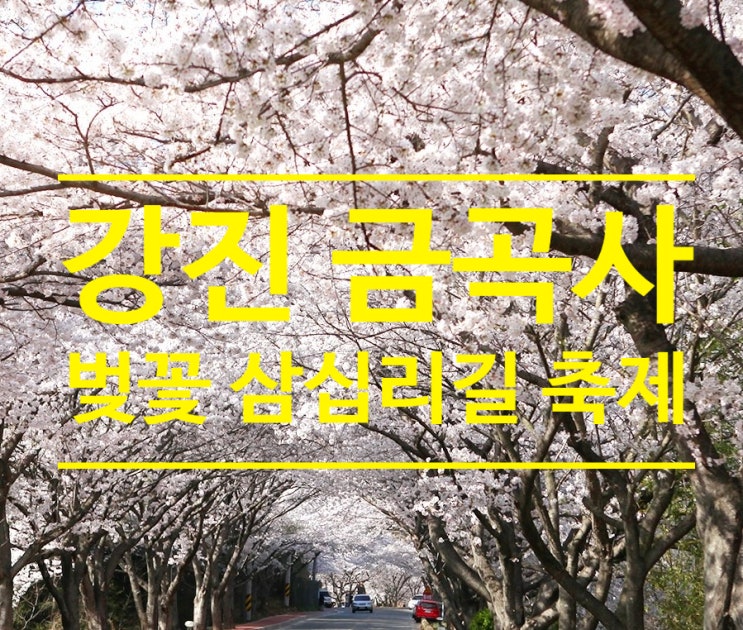 2023 제6회 강진 금곡사 벚꽃 삼십리길 축제 기본정보 (축제 일정표, 강진 예술인 음악공연) 2023 제6회 강진 금곡사 벚꽃 삼십리길 축제 기본정보 (축제 일정표, 강진 예술인 음악공연)