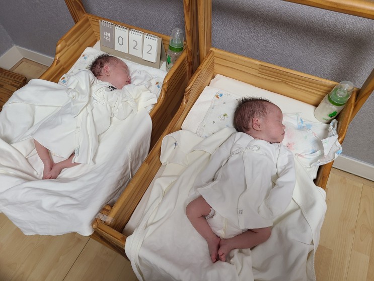 35주 이른둥이 일란성쌍둥이 신생아부터 45일차