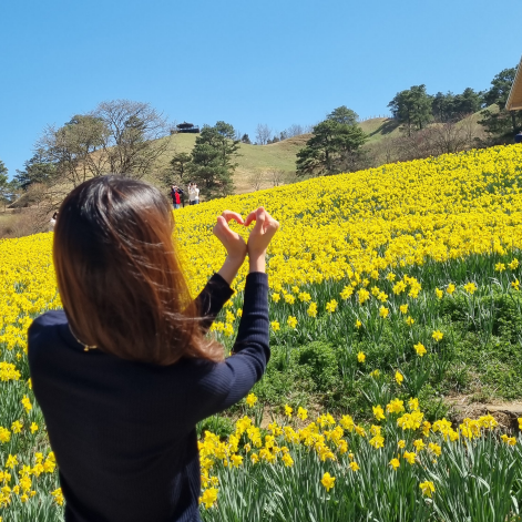  구례 지리산치즈랜드 산수유마을 숲과브런치 우리나라여행 4월 지금 가볼만한곳3