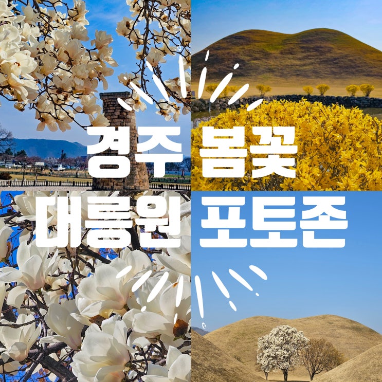  대릉원 포토존 경주 봄꽃 찾아 떠난 여행