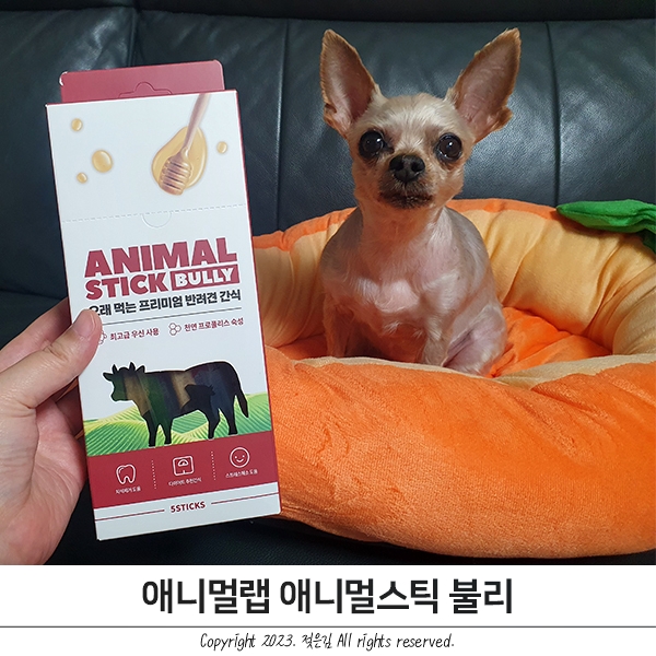 오래먹는개껌 방이가 3시간 동안 먹는 애니멀랩 오래먹는개껌 방이가 3시간 동안 먹는 애니멀랩