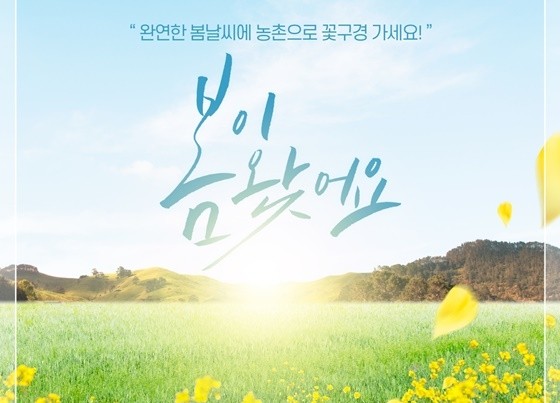전국 봄꽃명소 농촌으로 꽂구경 하러가요. 전국 봄꽃명소 농촌으로 꽂구경 하러가요.