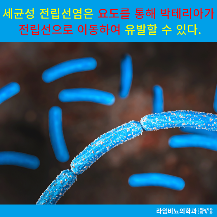  [전립선염1] 대구 동구 라임 비뇨기과에서 알아보는 전립선염이란?