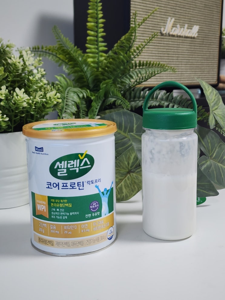 속편한단백질 분리유청단백질추천 