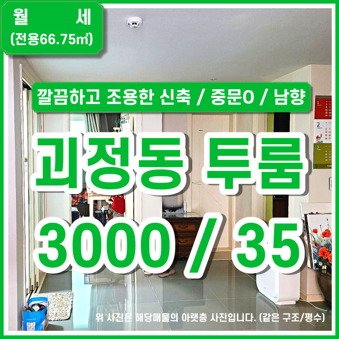  [월세] 부산시 사하구 괴정동투룸 중문있음 조용한 괴정동신축단독투룸 밝은 남향 금액조정가능 (매물번호 323300)