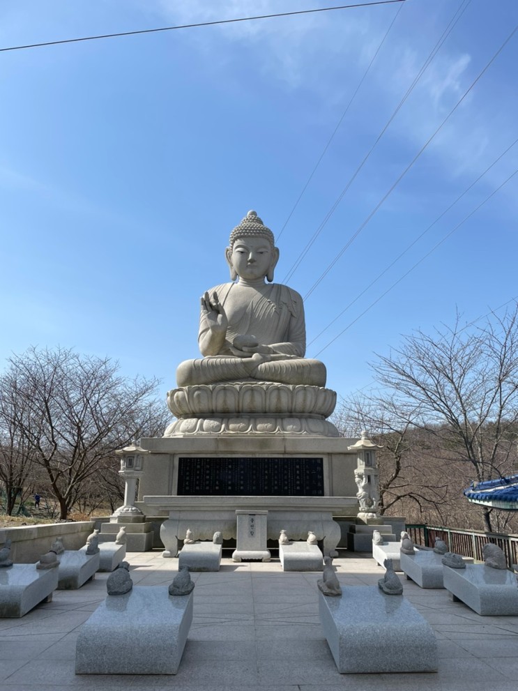 3월 17일- 19일 태안, 서산, 대전 여행기
