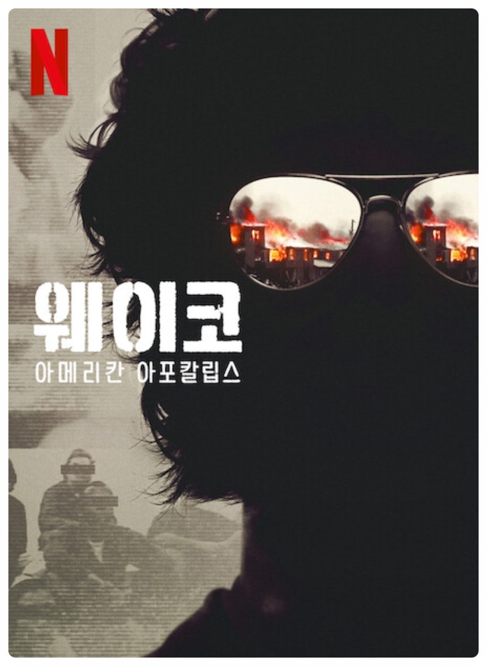  넷플릭스 휴먼이 사라졌다!, 그들의 왕국, 비밀의 도시, 웨이코: 아메리칸 아포칼립스 정보