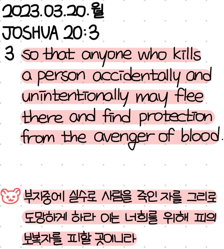  너희를 위해 피의 보복자를 피할 곳이니라 [여호수아 20장 3절]