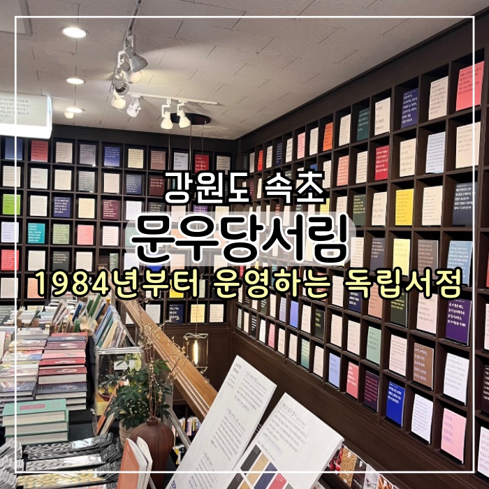  [속초 여행] 1984년부터 운영한 독립 서적 문우당서림,주차 및 청초호 시장 근처 애견동반 가능 가볼만한 곳 추천
