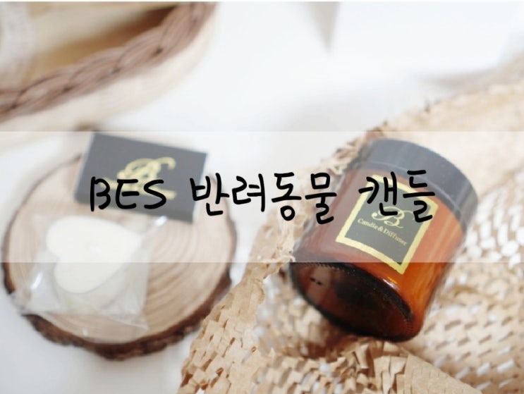  고양이캔들 반려동물을 위한 안전한 캔들 베스 BES 누미너스